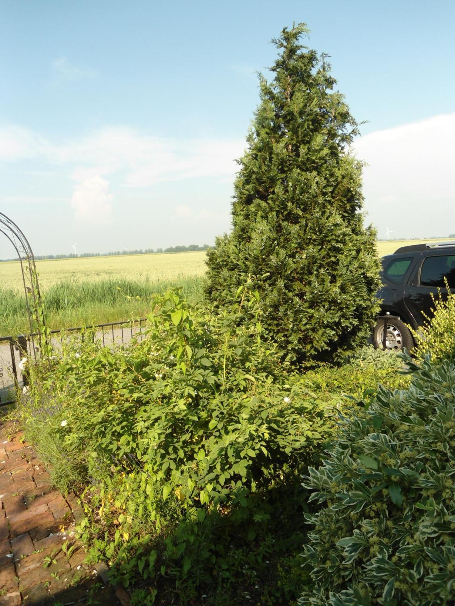Campen Cottage Krummhörn Zewnętrze zdjęcie